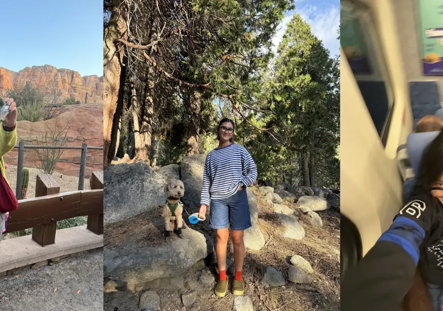 Three photos: hiking in a canyon, walking a dog in a forest, train ride close-up.