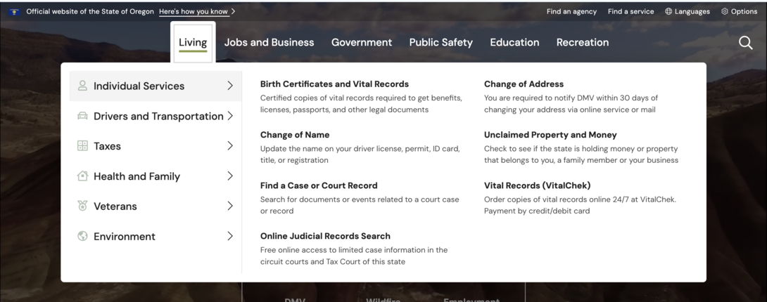 Website navigation menu with service categories listed.